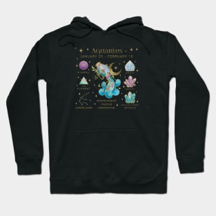 Crystal Zodiac Aquarius Collage Hoodie